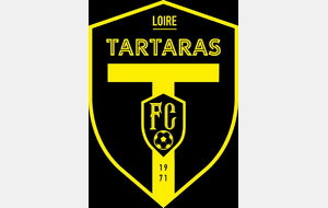 Le Tartaras FC change de logo